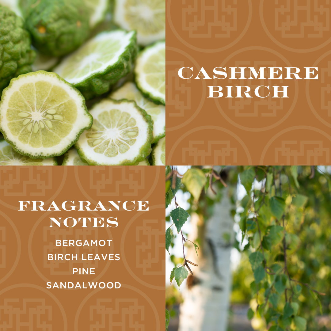 Cashmere Birch Set of 4 Diffuser Oil Refills