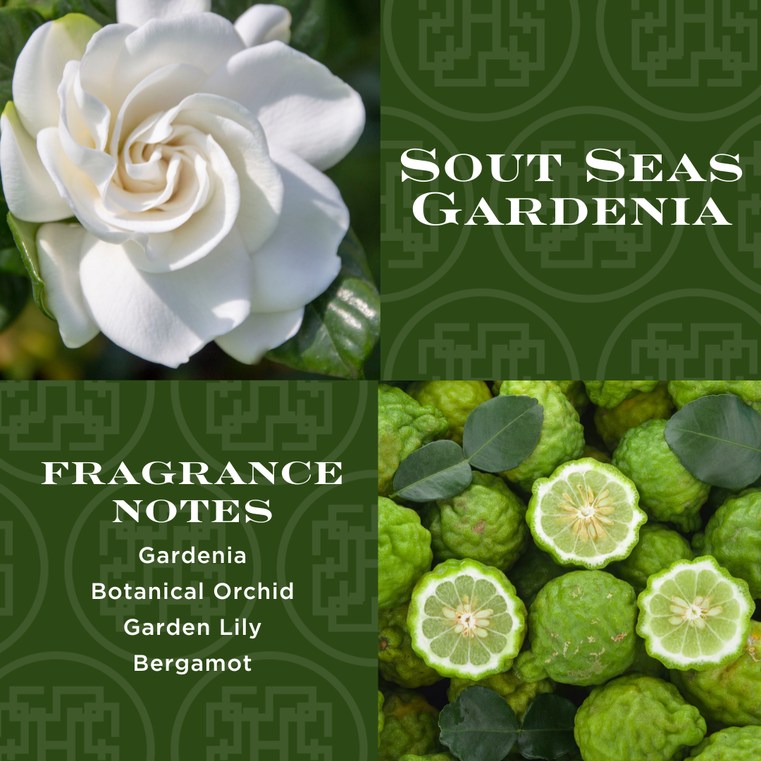 South Seas Gardenia Set of 4 Diffusers