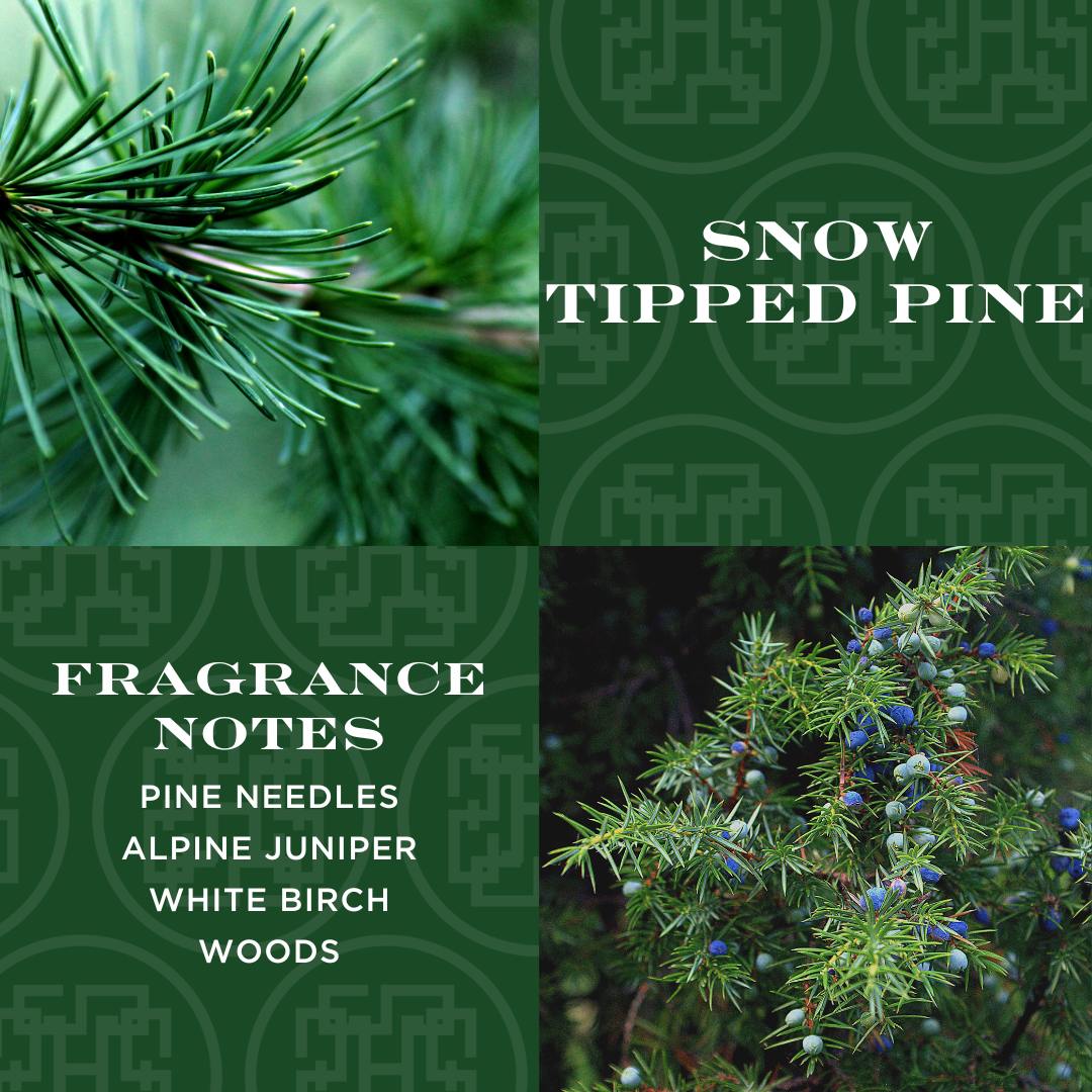 Snow Tipped Pine Candle