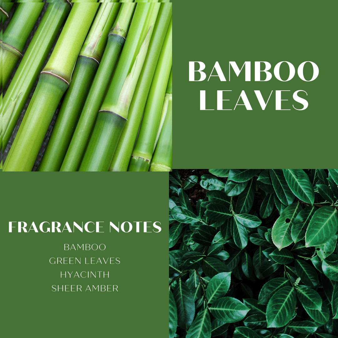 ScentWorx Bamboo Leaves 3-Wick Candle