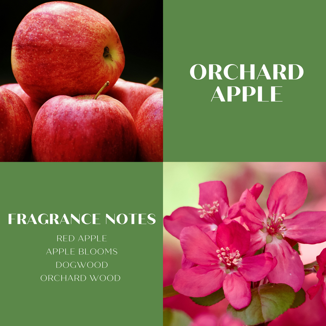 ScentWorx Orchard Apple 3-Wick Candle