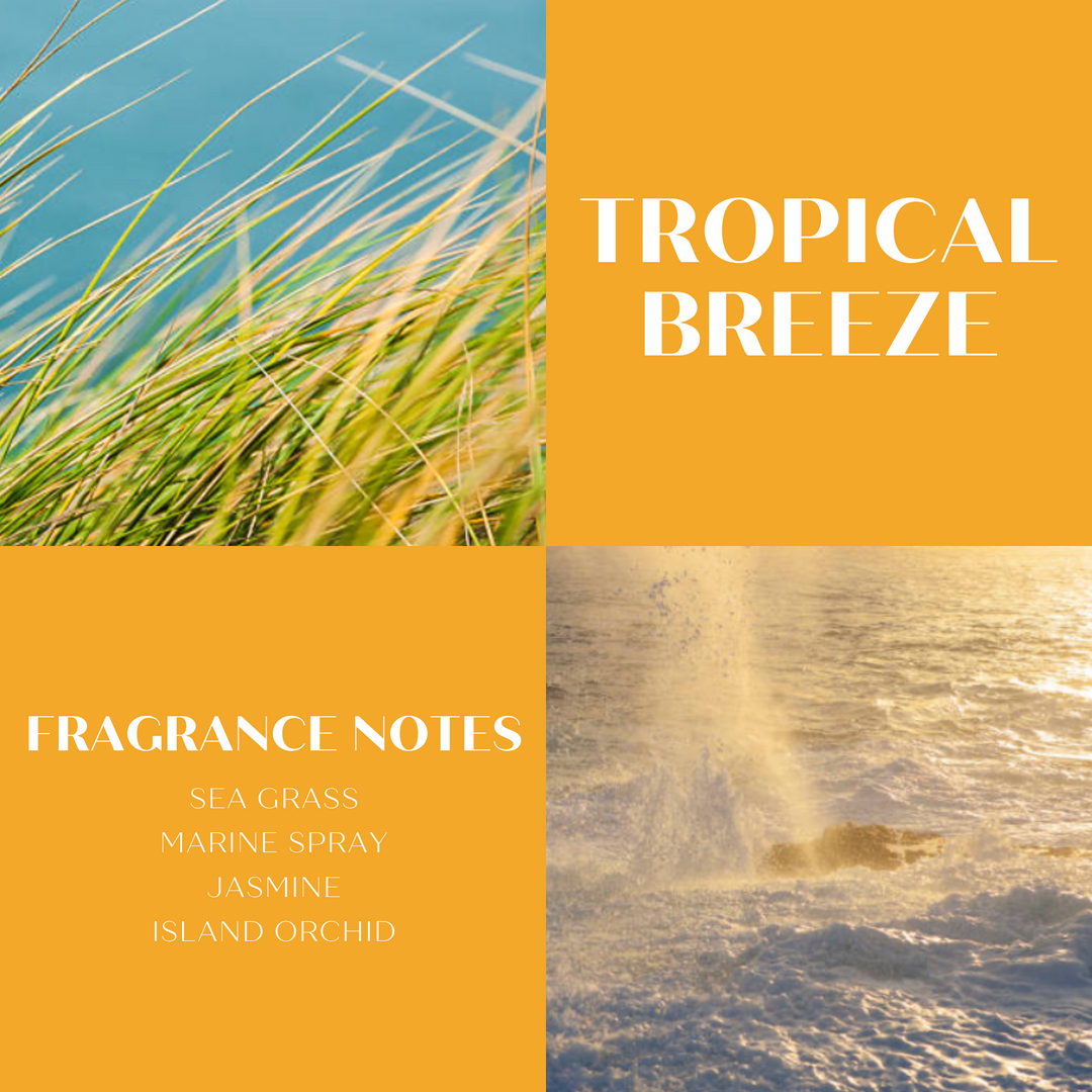 ScentWorx Tropical Breeze 3-Wick Candle